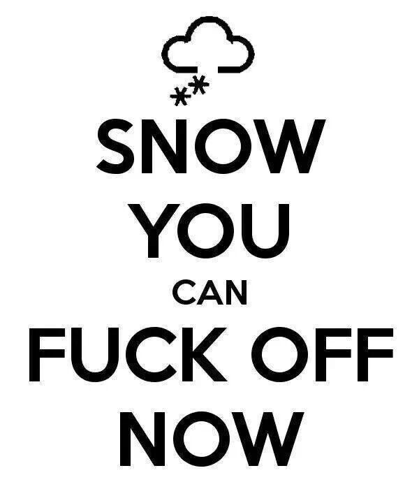 61c197e62d0ab35502365ea99d3895e0